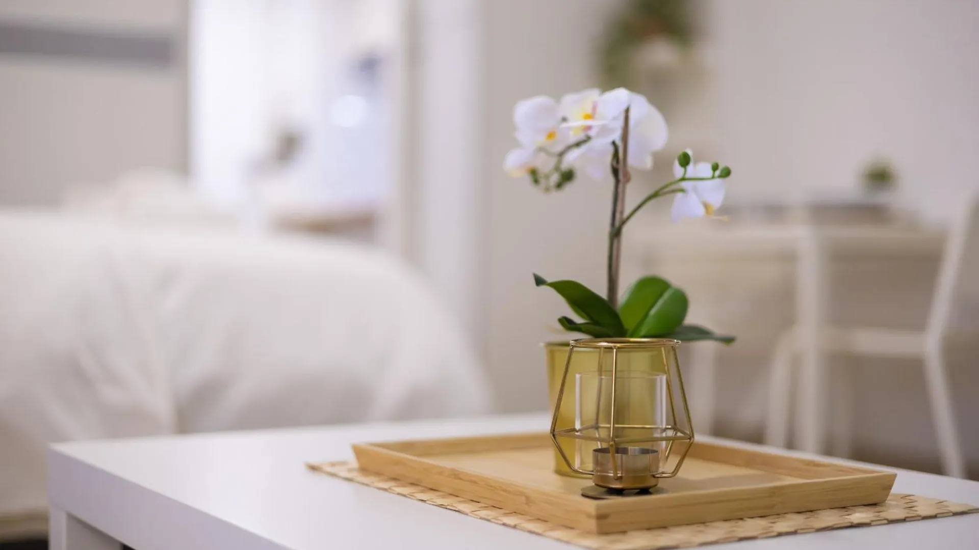 Stylish Seaside Studio Casa Jacobo Πουέρτο Ντε Λα Κρουζ Διαμέρισμα